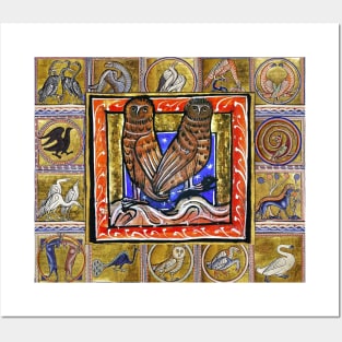 MEDIEVAL BESTIARY ,TWO OWLS, FANTASTIC ANIMALS IN GOLD RED BLUE COLORS Posters and Art